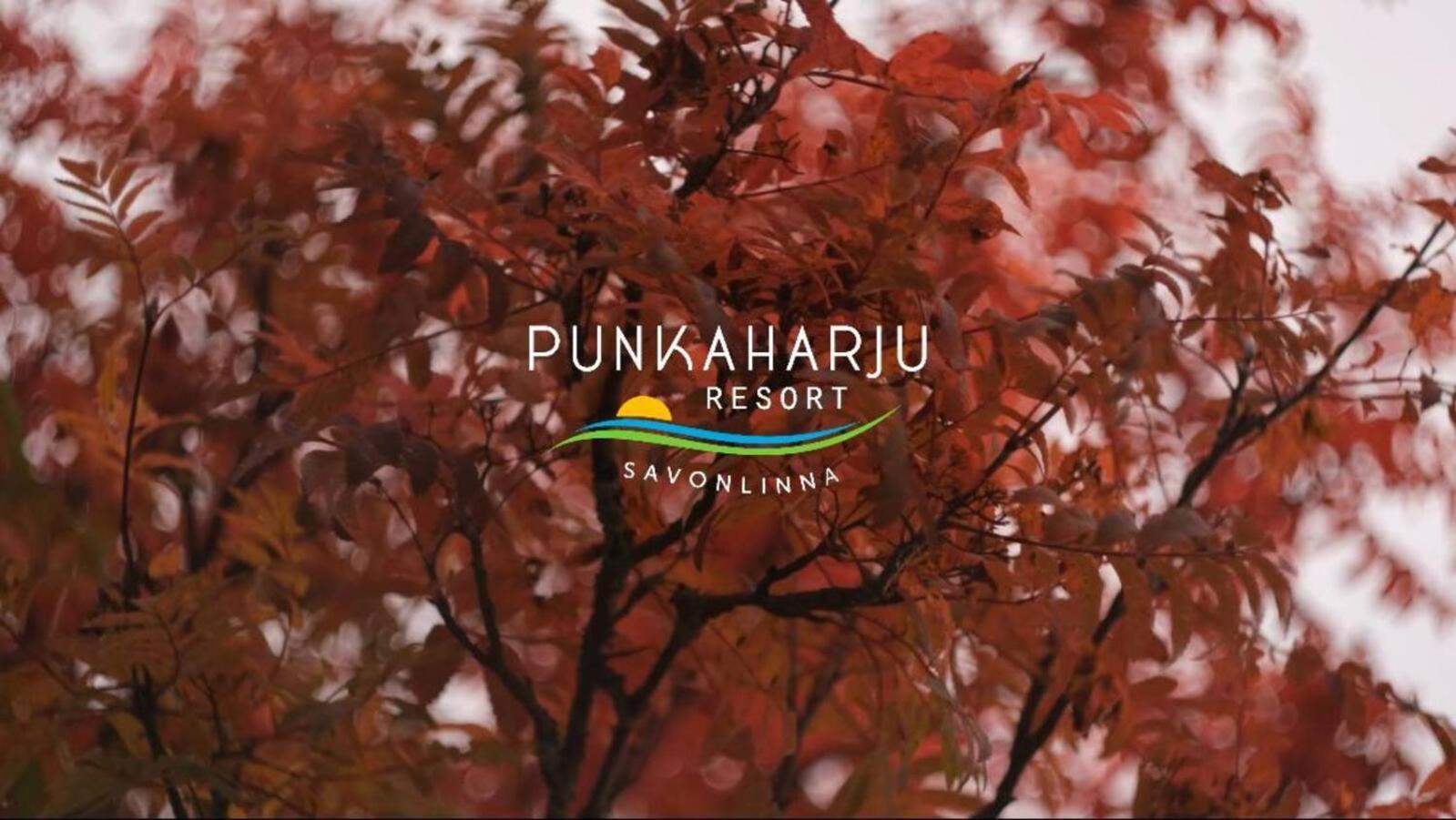 Punkaharju Resort エクステリア 写真